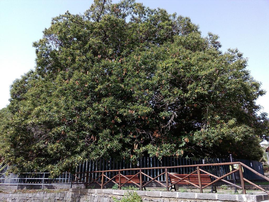 Oltre Il Giardino Villa Pedara Szoba fotó